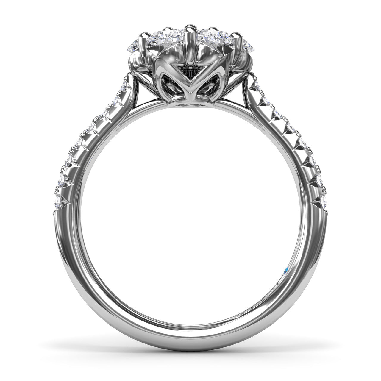 R5032-14kt-White