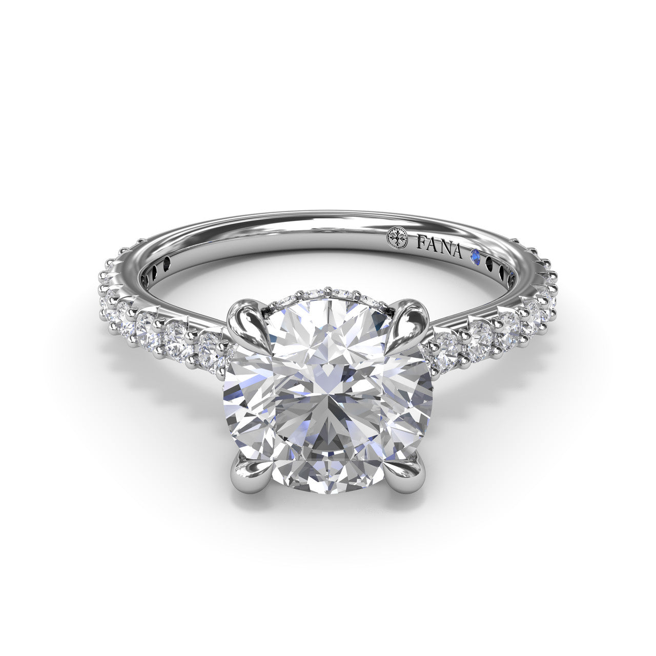 S4237-14kt-White