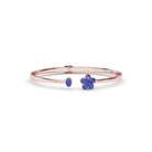 BB1910S-14kt-Rose