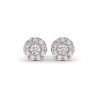 ER4919-14kt-Rose