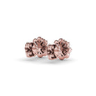ER4965-14kt-Rose