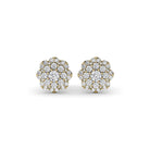 ER4965-14kt-Yellow