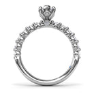 S3244-MQ-100CT-Platinum