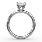 S4013-Platinum