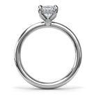 S4066-Platinum