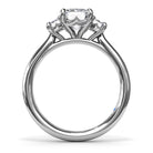 S4069-Platinum