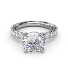 S4072-Platinum