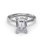 S4196-Platinum