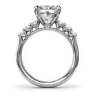 S4218-Platinum