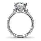 S4248-Platinum