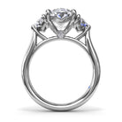 S4282-Platinum