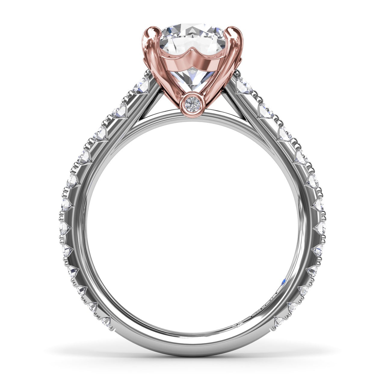 S4285-14kt-White-Rose