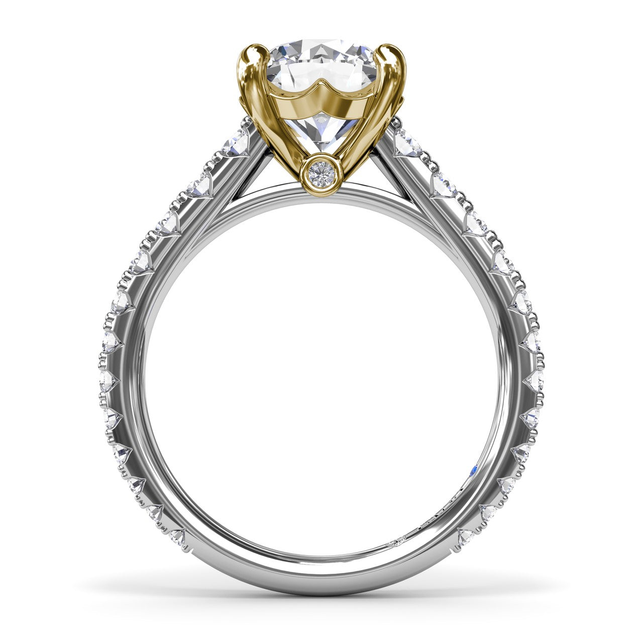 S4285-14kt-White-Yellow