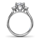 S4341-Platinum