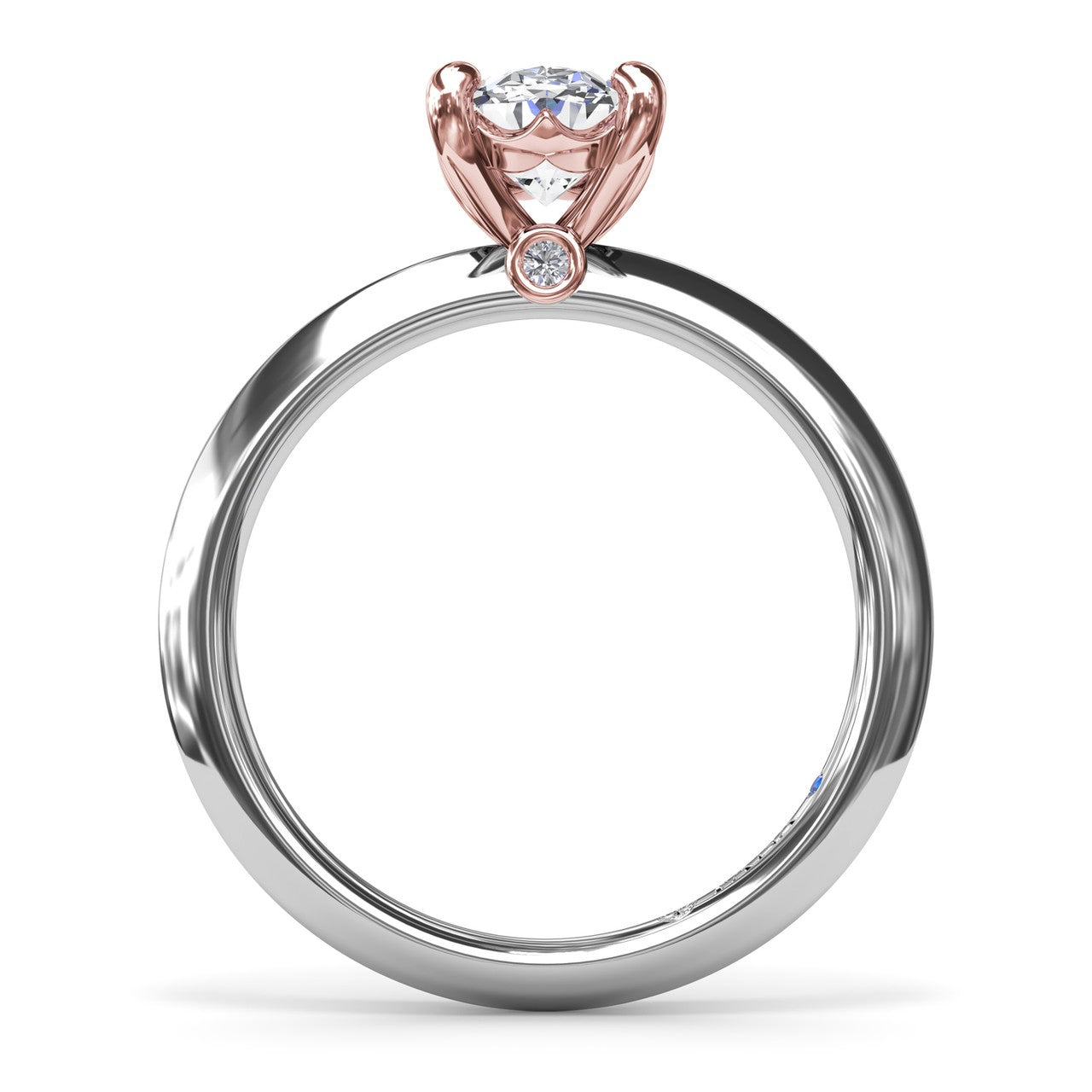 S4348-14kt-White-Rose
