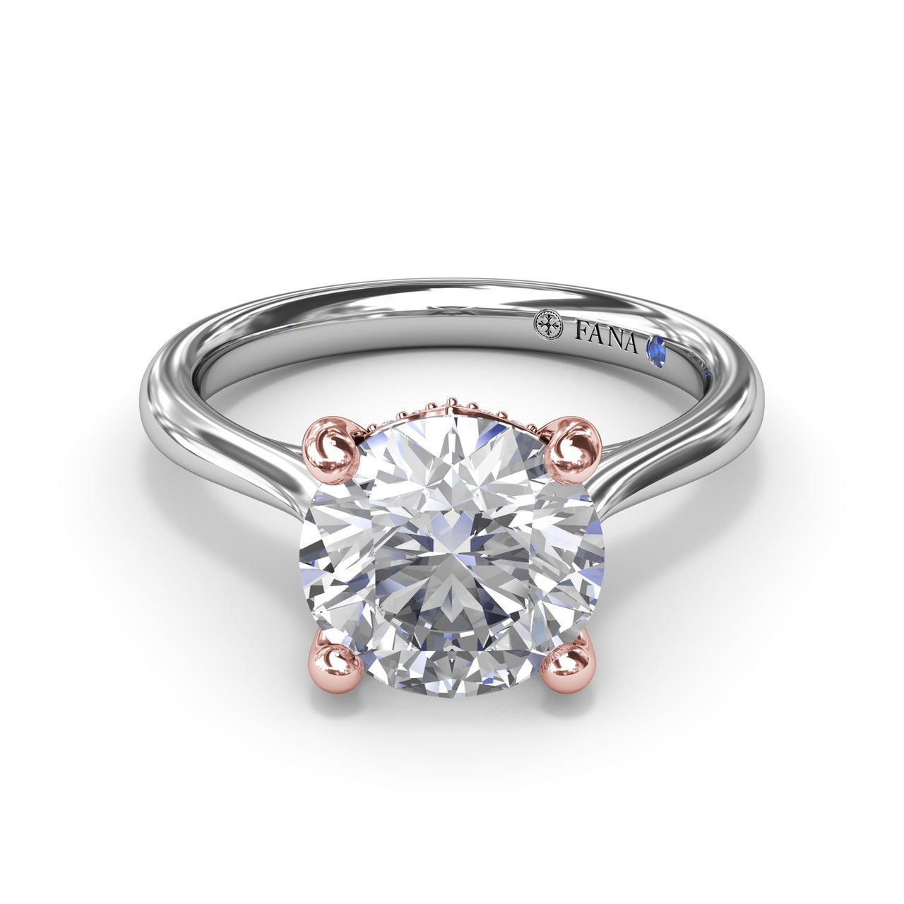 S4349-14kt-White-Rose