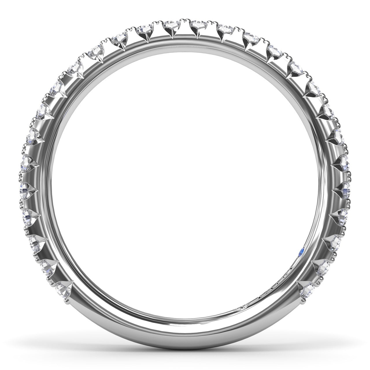 W4254-Platinum